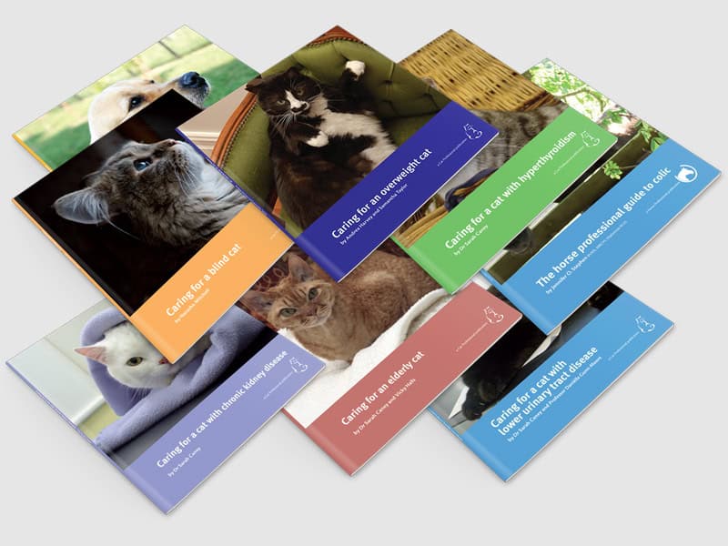 Big book bundle